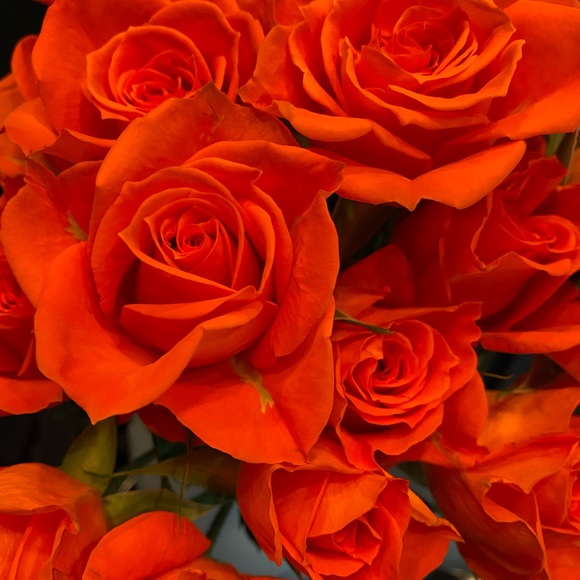 Meet your Posher, Sarah - Picture 1 of 1